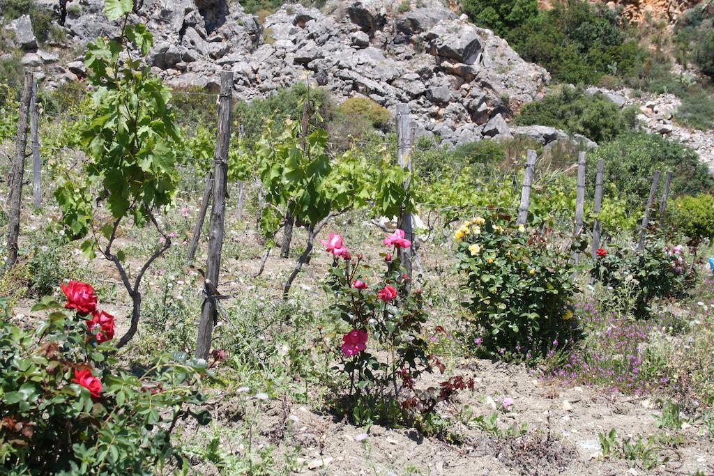 Casale Corcella Bed & Breakfast Scopello  Exterior foto